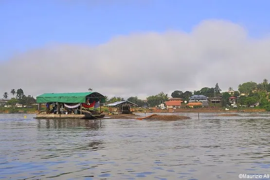 guyane amazonie