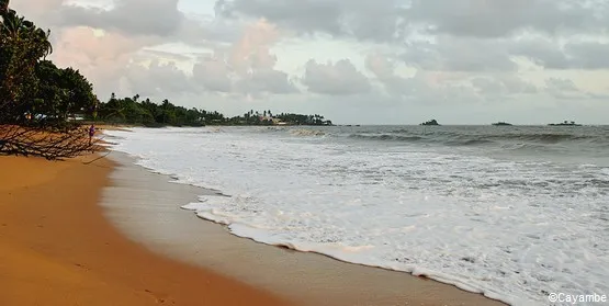 plage montabo cayenne