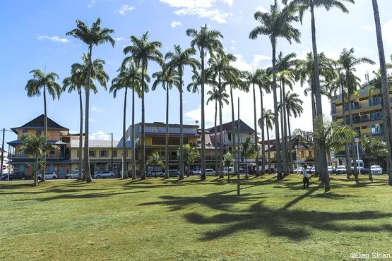 place palmistes cayenne