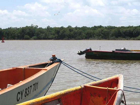 fleuve kourou