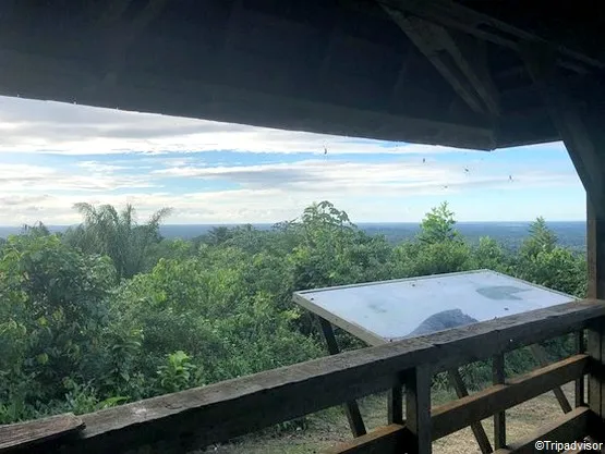 montagne des singes à kourou