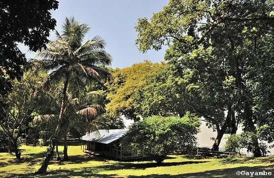 guyane