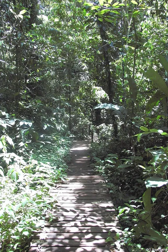 sentier du rorota