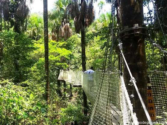 canopée zoo macouria