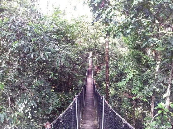 zoo de guyane