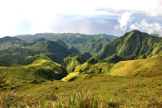 La montagne Pelée