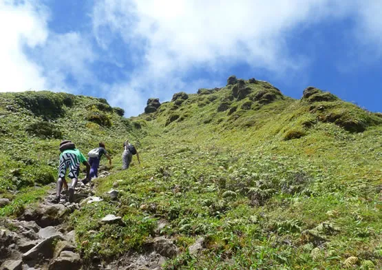Randonnée à la montagne Pelée