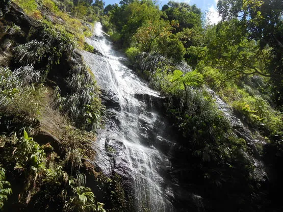 Gorges de la Falaise