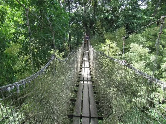 Pont suspendu à Balata