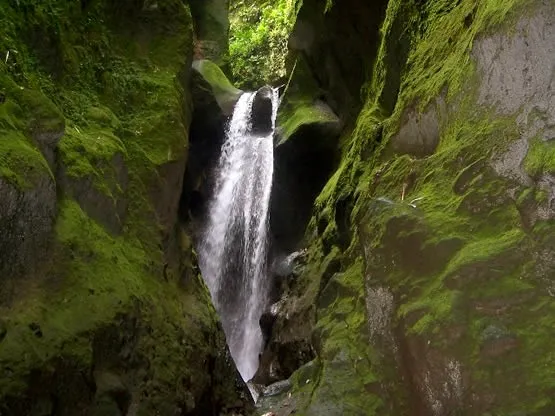 gorges falaise martinique