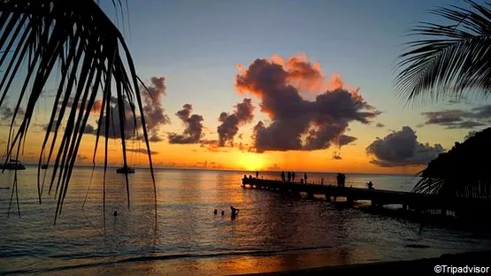 Petite Anse martinique