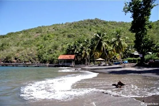 Anse noire martinique