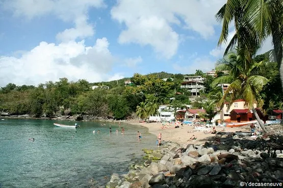 Anse Dufour martinique