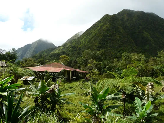 Le Massif des Pitons du Carbet