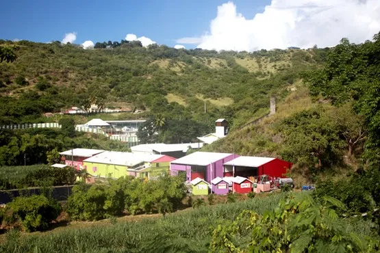 distillerie le carbet