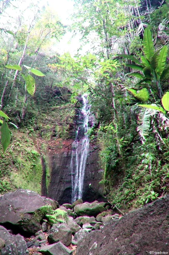 cascade Martinique