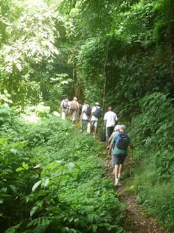 Randonnée vers la cascade de la Ravine Baron