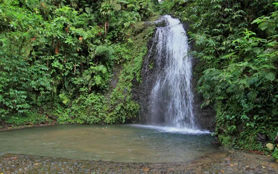 La cascade de Saut Gendarme