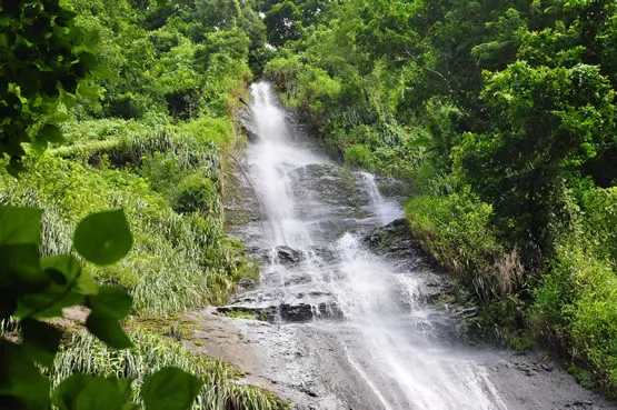 La cascade couleuvre