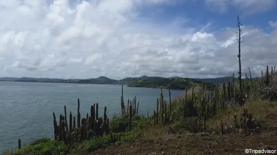 randonnée martinique