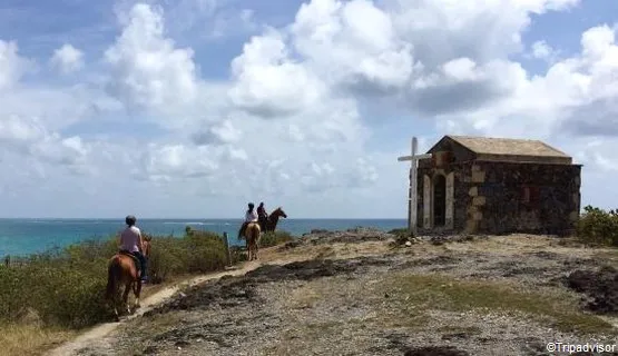 balade cheval martinique