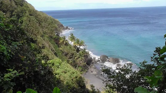 L'anse couleuvre