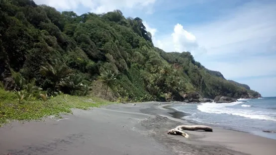 La plage du Sinaï