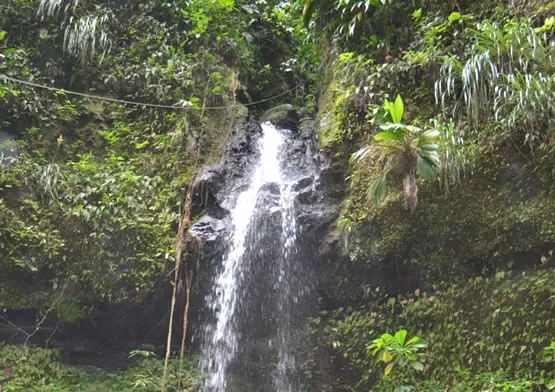 Cascade à Grand'Rivière