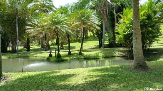 jardin de l'habitation clément