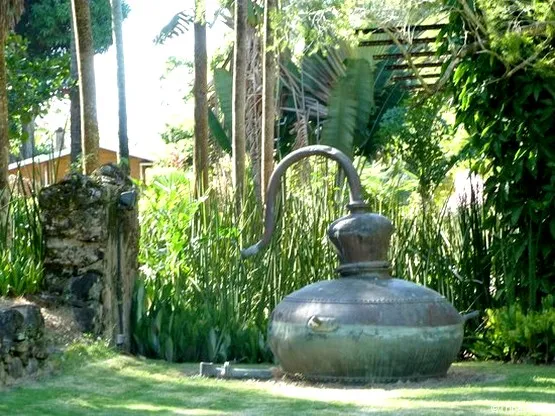 jardin botanique habitation latouche