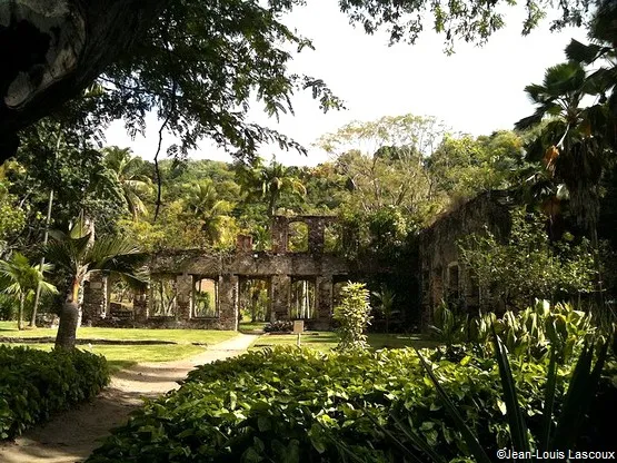 ruines habitation latouche