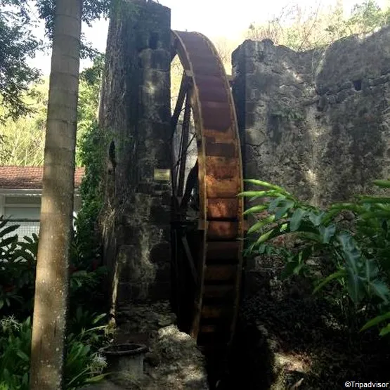 ruines zoo martinique