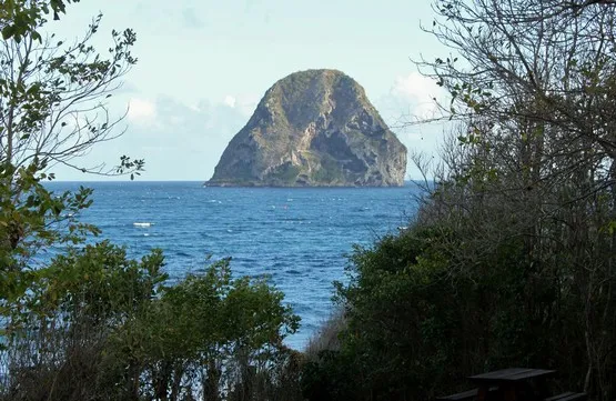 martinique diamant