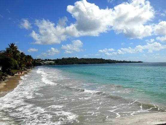 plage dizac martinique