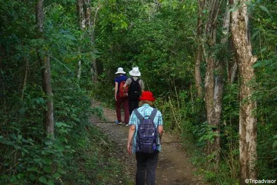 creve coeur martinique