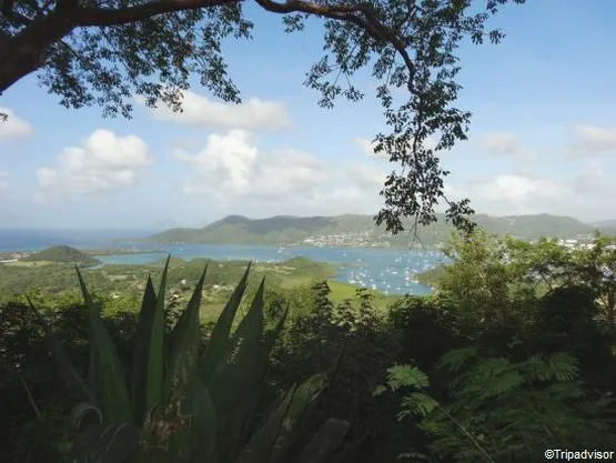 randonnée martinique