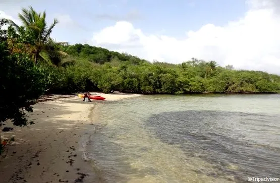 ilets robert martinique