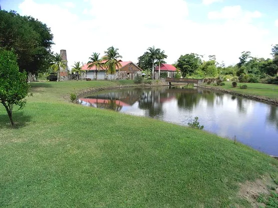 maison de la canne martinique