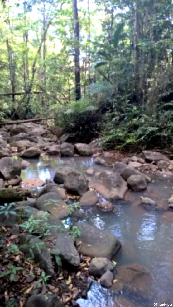 rivière martinique Montravail