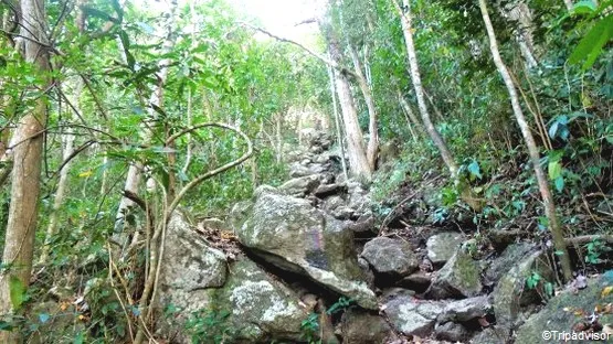 roches de la randonnée en Martinique