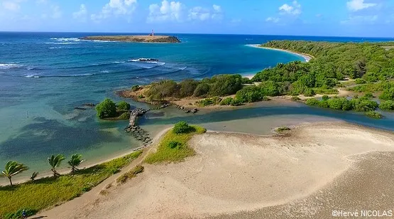 étang des salines martinique
