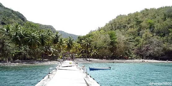 anse noire martinique