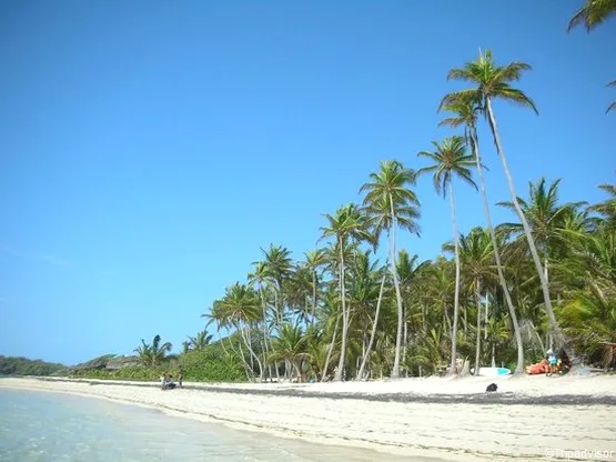 anse michel martinique