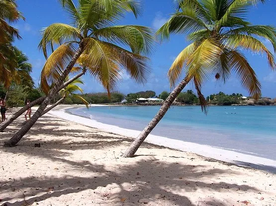 plage salines martinique