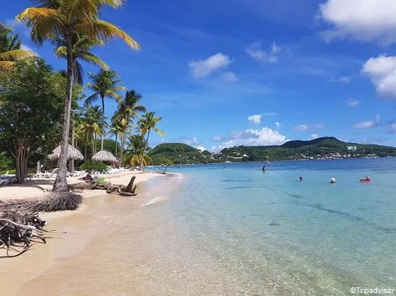 pointe marin plage de martinique