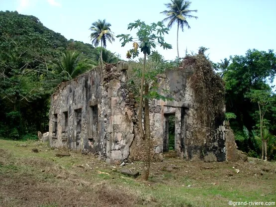 fond moulin