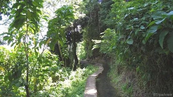 canal des esclaves Martinique