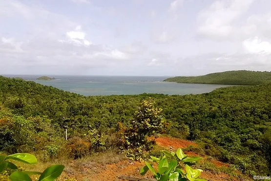 presqu'ile de la caravelle en Martinique