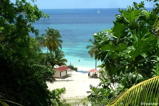 anse figuier à rivière-pilote