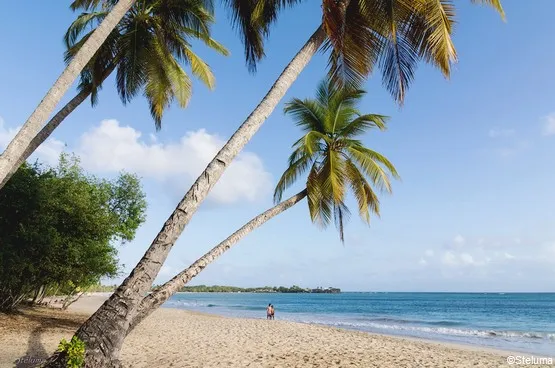 plage martinique